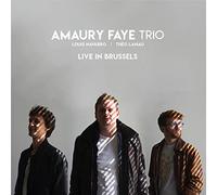 Faye, Amaury -Trio- - Live in Brussels