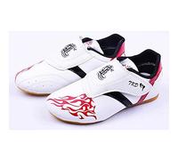 fayengan Zapatos De Taekwondo,Unisex Taekwondo Boxeo Kung Fu Tai Chi Deporte Zapatos De Gimnasia para Niños Adultos (Color : White, Size : 34 EU)