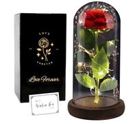 FAYODO Rosa de belleza y la bestia con luces LED, base de madera, rosa de seda roja en cúpula de cristal, rosa nunca se desvanece para el día de San Valentín, aniversario, día de la madre