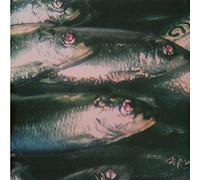 Fazer – Nadi – Vinilo