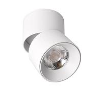 FAZRPIP Focos de Techo LED montados en Superficie Mini Foco Ajustable de 360 ° Shell Luz de Aluminio Cocina LED Downlight Lámpara de Pared Interior Luz de Techo 10W, 20W, 30W, 36W