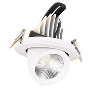 FAZRPIP Focos empotrables LED Techo 10W / 20W / 30W / 40W COB Eyeball Retrofit Spotlight Inclinación Ajustable Twist White Foco de Techo Downlight para Cocina Dormitorio