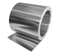 FBANULPEX Chapa metálica Rollo Delgado Chapa metálica Tira de Acero Inoxidable de 304 mm de Espesor, Chapa de Acero Fina, lámina de Acero(0.1mmx20mmx1meter)