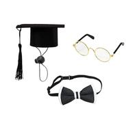 Fbinys Graduation Duck Clothes, Lawn Ducks Statue Grad Outfit, Cute College Hat, Bow, Glasses, Lawn Art Decoration, Fun Graduations Keepsake, Size Ideal for Celebration Decor