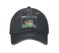FBKKFCL Diarios de botica Maomao Anime Mono Gorras de béisbol Waifu de Tendencia Algodón Envejecido Snapback Hombres Mujeres Gorra Ajustable de Exterior