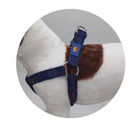 FC Barcelona AR-01S-BC Arnés para Perro, Talla S