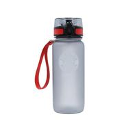 FC Bayern München | Botella | Gris | 0,65 l