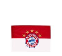 FC Bayern München FahnenMax - Bandera (150 x 100 cm)