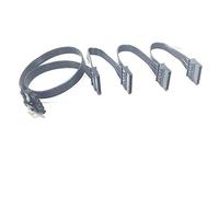FCQLR para Antec/Antec HCG-520M, HCG-620M Module Power Supply 5pin to 4 SATA Hard Drive Cable 0.85m