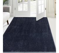 FCSDETAIL Alfombra Atrapapolvo 120 x 180 cm, Alfombra Antideslizante Lavable en Lavadora, Felpudo de Entrada con Microfibras Suaves Absorbentes para Perro, Entrada, Puerta y Pasillo