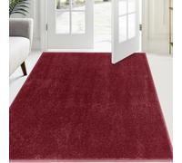 FCSDETAIL Alfombra Atrapapolvo 120 x 180 cm, Alfombra Antideslizante Lavable en Lavadora, Felpudo de Entrada con Microfibras Suaves Absorbentes para Perro, Entrada, Puerta y Pasillo