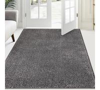 FCSDETAIL Alfombra Atrapapolvo 120 x 180 cm, Alfombra Antideslizante Lavable en Lavadora, Felpudo de Entrada con Microfibras Suaves Absorbentes para Perro, Entrada, Puerta y Pasillo