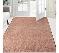 FCSDETAIL Alfombra Atrapapolvo 120 x 180 cm, Alfombra Antideslizante Lavable en Lavadora, Felpudo de Entrada con Microfibras Suaves Absorbentes para Perro, Entrada, Puerta y Pasillo