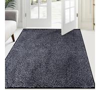 FCSDETAIL Alfombra Atrapapolvo 120 x 180 cm, Alfombra Antideslizante Lavable en Lavadora, Felpudo de Entrada con Microfibras Suaves Absorbentes para Perro, Entrada, Puerta y Pasillo