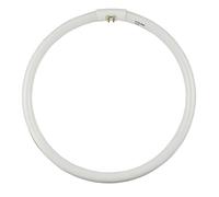 fct5 - 40 W-CW blanca 4100 K, potencia: 40 W, tipo Temperatura de color: fluorescente, T5 Circular (Kelvin): 4100 K, lúmenes: 2800, anchura: 11,0 en.