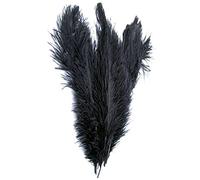 Fcuajdkq Estilo 10-12 Plumas De Avestruz Grandes Decoraciones - Negro