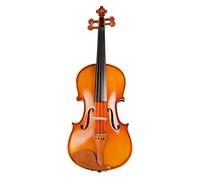 Fcuajdkq Estudiantes Arce el Violín de Cuerdas Instrumento Musical con Caso de Cuerdas Madera Azufaifo Accesorios Violín 4/4