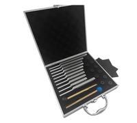 Fcuajdkq - Juego de 10 Diapasones para la Curación de la Terapia de Sonido de Chakras, para mantener el Cuerpo de Plata