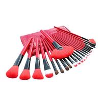 Fcuajdkq - Pinceles de maquillaje (24 piezas, juego de pinceles de maquillaje, corrector de contorno sintético, base de maquillaje en polvo, sombras de ojos, pinceles de maquillaje con bolsa