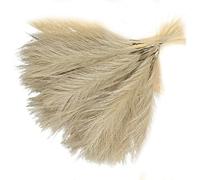 Fcuajdkq Ramo de Pampas de CañA Artificial, Hierba de Pampas Artificial de 16,9 Pulgadas, Hierba de Pampas, DecoracióN, Caqui