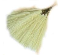 Fcuajdkq Ramo de Pampas de CañA Artificial, Hierba de Pampas Artificial de 16,9 Pulgadas, Hierba de Pampas, DecoracióN, Amarilla