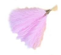 Fcuajdkq Ramo de Pampas de CañA Artificial, Hierba de Pampas Artificial de 16,9 Pulgadas, Hierba de Pampas, DecoracióN, Rosa