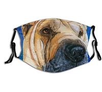 Fcuajdkq Reloj de cuarzo retro de 55 mm con números romanos y árabes, accesorios de reloj simples, reloj artesanal incrustado, ver foto