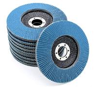 Fd-Workstuff Discos abrasivos de abanico profesionales, color azul, 10 unidades, diámetro 125 mm, grano 100, acero inoxidable, discos abrasivos laminares