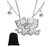 FDCGAS 2 piezas Mejores amigos,gato a juego collar colgante niñas acero inoxidable gato amistad collar BFF, hermanas colgante collar amistad joyería regalo, para amantes,amigos