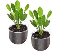 FdcLixuvol 2 macetas decorativas para acuario, con ventosa, soporte para plantas vivas, gambas rojas