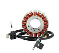 FDEqaLX Bobina generadora Magneto de estator para Motocicleta, Compatible con Gamax ATV AX250 AX300 e-Ton ATV Vector 250 300 ATV Quad Lander 250 Piezas