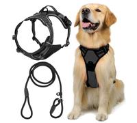 FDGGT Arnés para Perros De 1 Pieza Y Correa para Perros De 1 Pieza, Suministros para Mascotas, Arnés Ajustable para Perros, Accesorios para Excursiones para Mascotas