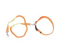 Fdit Correa para, Correa de Cuerda de Nailon con Anillos en D Multifuncionales con Tira Reflectante y Hebilla de Bloqueo Resistente a Tirones para Mascotas Que Caminan Al Aire Libre (Naranja Verde)