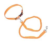 Fdit Correa para Perros, de Amortiguación Suave, Correa de Cuerda de Nailon con Tira Reflectante y Hebilla de Bloqueo Resistente a Tirones para Caminar Perros Medianos y Grandes (Naranja Verde)