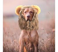 Fdit Creative Cat'S Chat Lion Wig Traje para Vestido de Animal, Material Suave y Suave, Adecuado para la Mayoría de los Gatos y Perros Pequeños para Cosplay Diario