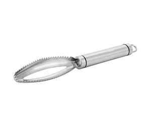 Fdit Descamador de Pescado, Herramienta de Acero Inoxidable para Quitar las Escamas, con Antideslizante y Diseño Ergonómico, para Uso en la Cocina por Cocineros Caseros y Chefs