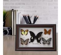 Fdit Espécimen de Mariposas Reales, 5 Piezas de Regalo Artesanal de Insectos Realistas para Decoración del Hogar, con Marco Blanco o Negro, para Cumpleaños, Boda, Navidad, Día de San (BLACK)