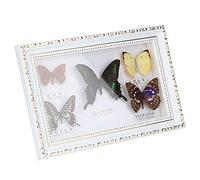 Fdit Espécimen de Mariposas Reales, 5 Piezas de Regalo Artesanal de Insectos Realistas para Decoración del Hogar, con Marco Blanco o Negro, para Cumpleaños, Boda, Navidad, Día de San (marco blanco)