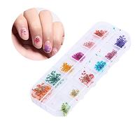 Fdit Flores Secas Naturales Juego Decorativo para el Arte de Las Uñas - Consejos Caso de Diseño DIY - Colores Brillantes para la Encantadora Manicura de la Imagen Decoración de Uñas (Una Llena de