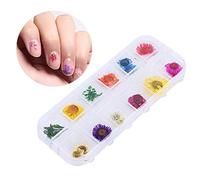 Fdit Flores Secas Naturales Juego Decorativo para el Arte de Las Uñas - Consejos Caso de Diseño DIY - Colores Brillantes para la Encantadora Manicura de la Imagen Decoración de Uñas (Margarita de