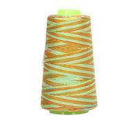 Fdit Hilo de Coser, Hilo de Máquina de Coser de Poliéster, Carrete Fuerte que No Destiñe para Suministros de Artesanía y Proyectos de Bordado (060428)