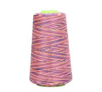 Fdit Hilo de Coser, Hilo de Máquina de Coser de Poliéster, Carrete Fuerte que No Destiñe para Suministros de Artesanía y Proyectos de Bordado (040806)