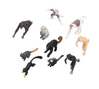 Fdit Juego de 10 Modelos de Primates, Mini Figuras de Animales de Mono Probóscide, Gibón, Orangután, Lémur, Juguetes Educativos de Plástico Realistas para Colección de Niños y