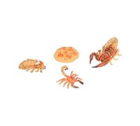 Fdit Juguete Educativo sobre el Ciclo de Vida de los Insectos, Modelo “Scorpion Lifestyle Stages” para Niños de 3 Años en Adelante (Ciclo de Crecimiento del escorpión 2)