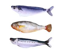 Fdit Juguete Interactivo para Peces de Gato, Juguete de Peluche con Hierba Gatera Activado Al Tacto, Flotante Recargable con Movimiento Activado para Ejercicio de Gatitos en Interiores