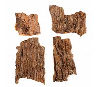 Fdit Madera Decorativa de Corteza de Reptil, 4 Piezas de Corteza de Corcho Natural para Terrario, Pieles de Madera de 6 y 3,93 Pulgadas para Geckos, Serpientes, Lagartos, Ranas y Arañas (4PCS)