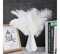 Fdit Plumas Naturales a Granel Plumas Blancas para Manualidades para Bodas y Atrapasueños Paquete de 20 Decoración Elegante Fácil de Usar (plasticos 10)