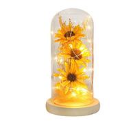 Fdit Presente de Cumpleaños Cúpula de Vidrio de Girasol Artificial con Luz LED para Amor Eterno y Boda, Flor Multicolor para Decoraciones de la Habitación del Hogar