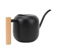 Fdit Regadera de Interior con de Madera, Regadera de Acero Inoxidable de Larga Duración para Suculentas, 1,2 L (Black)