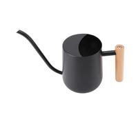 Fdit Regadera Moderna de Acero Inoxidable con Pico Largo para Bonsái Suculento, Flor de Jardín, Capacidad de 1L, Color Negro para Plantas Colgantes